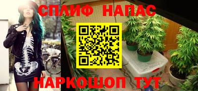 гашик Лесосибирск