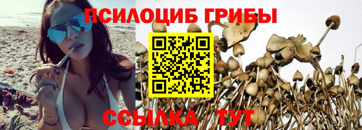 наркотики  Галлюциногенные грибы ЛСД  Вход с VPN  Сибай 
